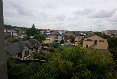 Apartament cu 1 camere in zona 1 Mai - 11