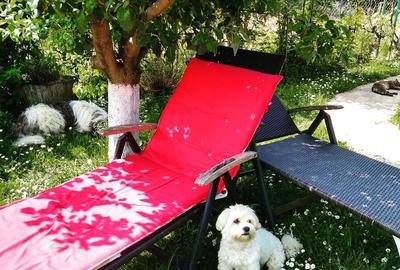 Casă cu 5 camere în Dejani - 8