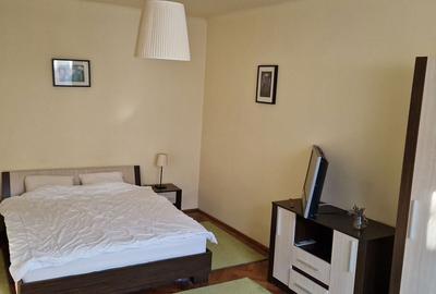 Apartament cu 2 camere nedecomandat în Cristian - 3