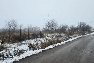 Teren de 2300 mp, în Vânători - 7