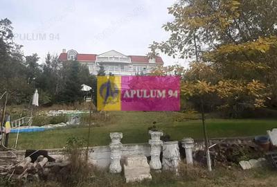 Casă cu Teren 3100 Mp în Băneasa - 13