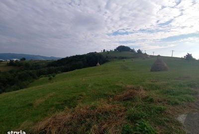 Casă cu 2 camere cu Teren 60 Mp în Șopotu Nou