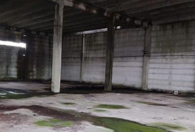 Hala ideal productie Oltenita - 7