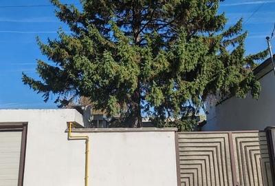 Spațiu birouri + depozitare în Jilava – ideal firmă, magazin on-line - 23