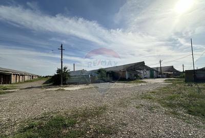 Spațiu comercial, de 4,000 mp, în Gugești - 10