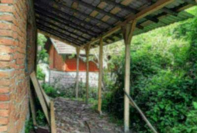 Spațiu comercial, în Bilcești - 6