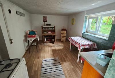 Casa 2 camere de vanzare in Busteni - 4