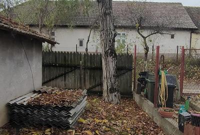 Casă cu 2 camere în Giroc - 3