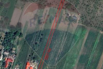 Teren intravilan Campuri / DJ 205E - 3