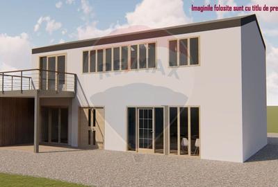 Doua case | Teren 290 mp | Ideal Locuinta & Afacere | Investitie - 23