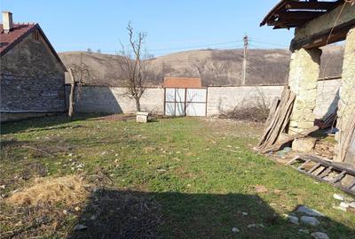 Ciclova, Teren Intravilan, Centru, Pret Negociabil - 19