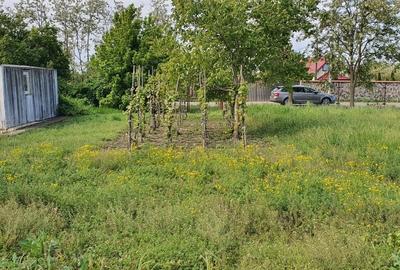 Teren Construcții intravilan de 2300 mp, în Sărulești - 7