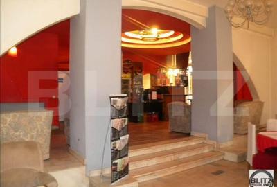 Spațiu comercial, de 4,800 mp, în Ultracentral - 10