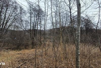 Teren de 2800 mp, în Sovata - 12