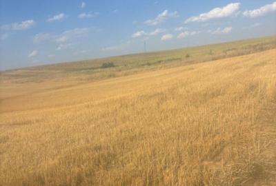 Teren intravilan, 500mp, zona Malu Mare, comision 0% - 5