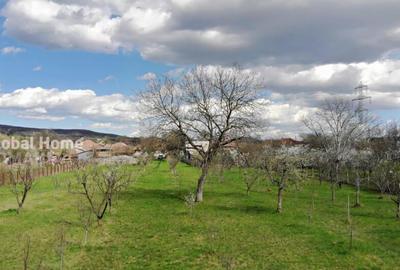 Teren de 4898 mp, în Cornu - 5