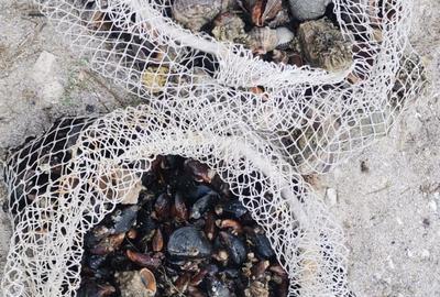 Vanzare 10000 mp plaja virgina,Constanta Vadu la Cherhana Bosoanca drum pietruit - 6