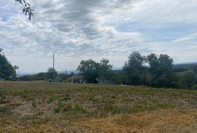 Casa Valea-tarnei sinteu - 2