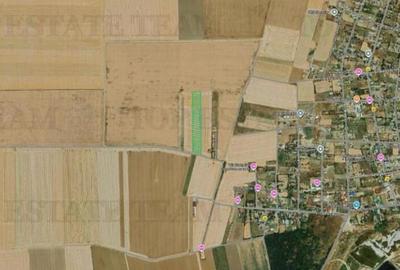 Teren de 5000 mp, în Vadu - 1