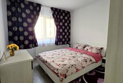 Apartament cu 2 camere decomandat, mobilat în Dobroești - 3