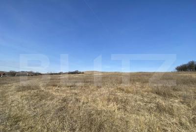 Teren extravilan in suprafata de 140551 mp in loc. Recea - 1