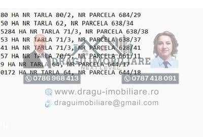 Spațiu comercial, în Central