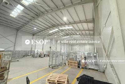 Spațiu comercial, de 2,450 mp, în Mogoșoaia - 9