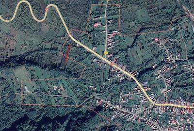 Teren de 6703 mp, în Domnești - 5