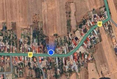 Teren de 5000 mp, în Rovine - 5