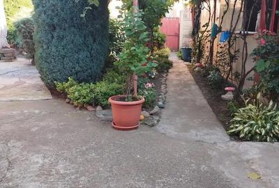 Ageuropa.ro vinde casa in zona 14 Mai cu 3 cam. si teren aferent de 500mp. - 6