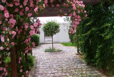 Casă cu 3 camere în Dănești - 6