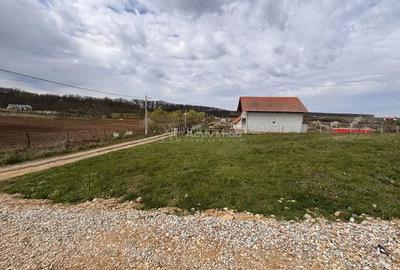 Teren de 500 mp, în Păușa - 2