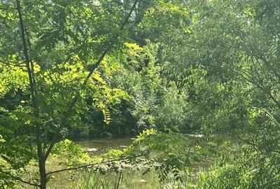 Spațiu comercial, în Vicovu de Sus - 6