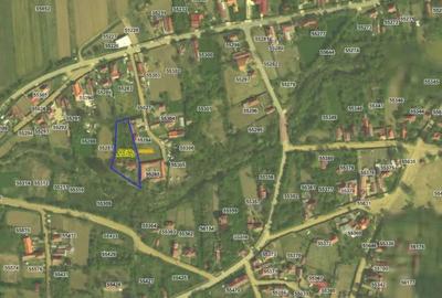 Casă cu 3 camere cu Teren 1853 Mp în Rogova - 1