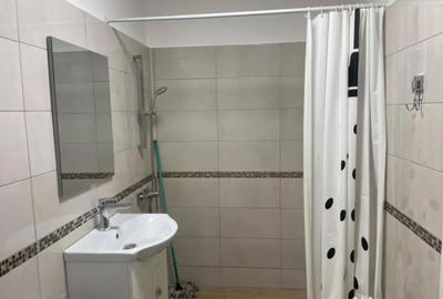 Garsonieră în Brazda lui Novac - 11