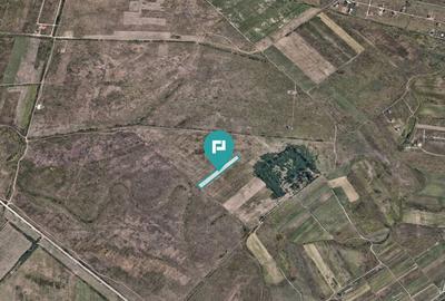 Teren de 10000 mp, în Moșnița Nouă - 6