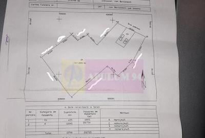 BARCANESTI - casa +curte+teren 16k mp - 13