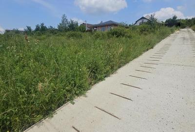 Teren intravilan , Bucium Barnova - 6