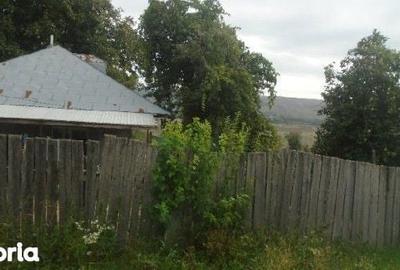 Casă cu 3 camere cu Teren 3487 Mp în Tănăsoaia - 9