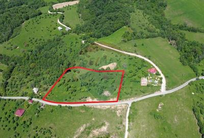 Teren de 12700 mp, în Codru Butesii