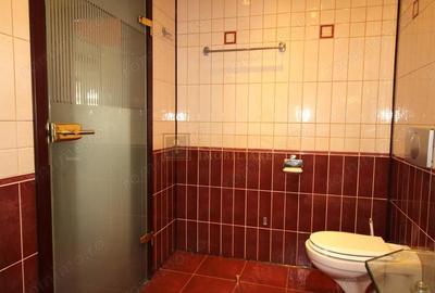 Casă cu Canalizare în Dumbrăvița - 12