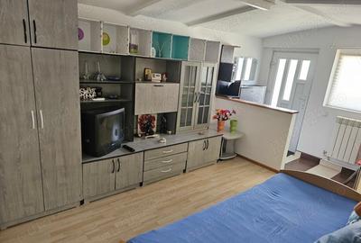 Aparatorii patriei arcadiei la vila - 9