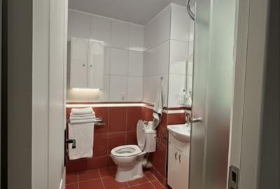 Apartament cu 4 camere semidecomandat în Rahova - 1