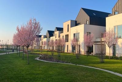 Vila 6 camere / Townhouse Avalon Estate - 2