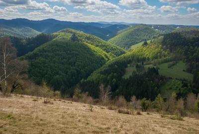 Teren de vanzare priveli?te superba | Acces drum | Forma regulata - 3