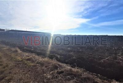 Teren intravilan de 28000 mp, în Odăi - 2