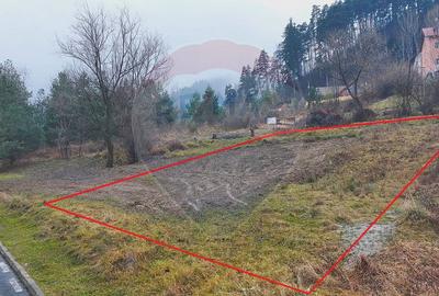 Teren Construcții intravilan de 500 mp, în Ștefan cel Mare - 1