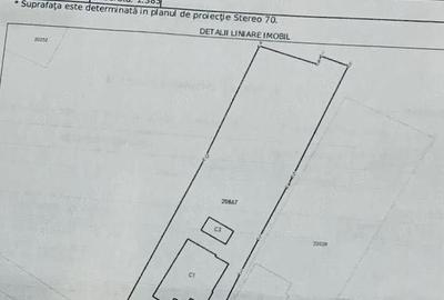 Casă cu 4 camere cu Teren 1500 Mp în Buda - 5