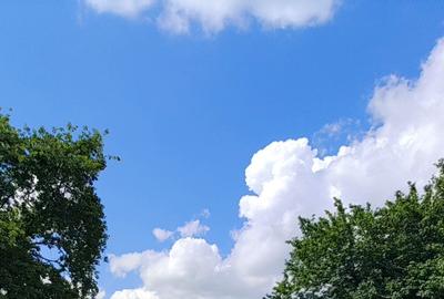 Teren de vanzare Berceni - 2