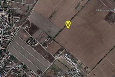 Teren intravilan 1 Decembrie, judetul Ilfov, ID: R2319723 - 1